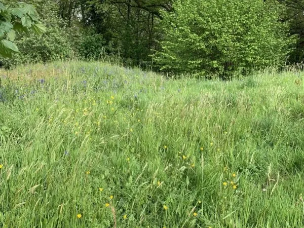 Terrain 2457 m²