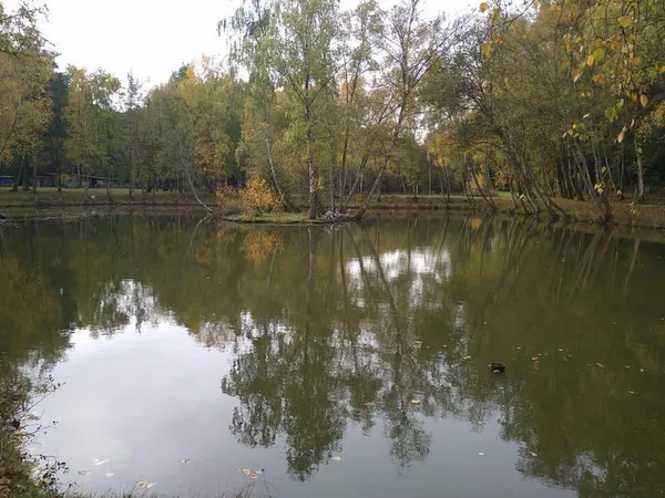 TERRAIN DE 2 HECT 300 AVEC TROIS ETANGS