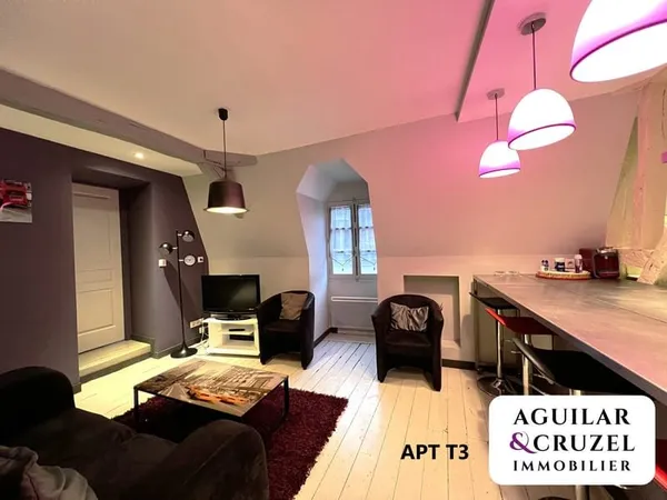 Idéal investisseur deux appartements meublés loués