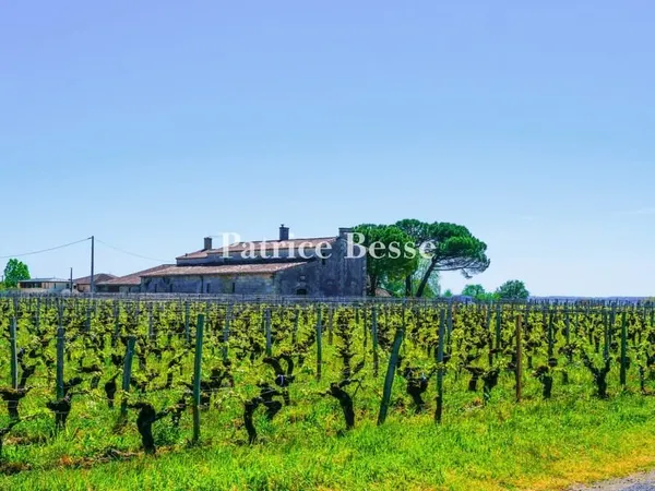 Dans la partie ouest des vignobles de Saint-Émilion, une bâtisse girondine à rénover et ses de 5 ha