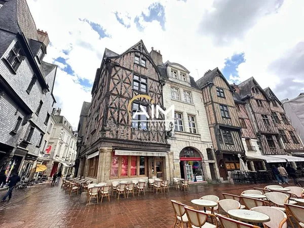 Place Plumereau - Appartement 2 chambres