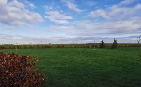 Terrain 1338 m²