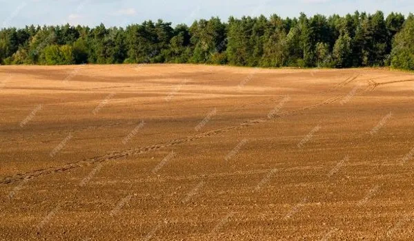 Bien agricole et foncier Vente Nanteuil-la-Forêt   160000€