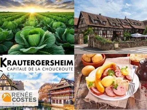 Vente à terme occupée sur 96 mois - KRAUTERGERSHEIM (67880)