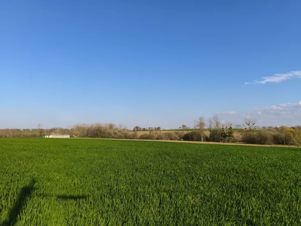 Terrain 1400 m²