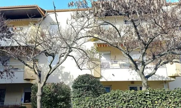 Appartement 1 pièce 31 m²