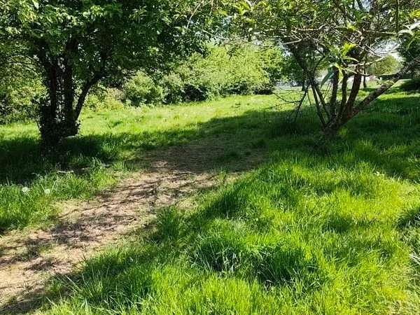 Terrain 4000 m² pour pâture - chevaux / animaux - avec eau