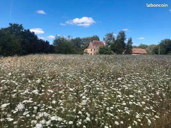 Direct particulier,Terrain Constructible, 2537 m2 à PLAZAC