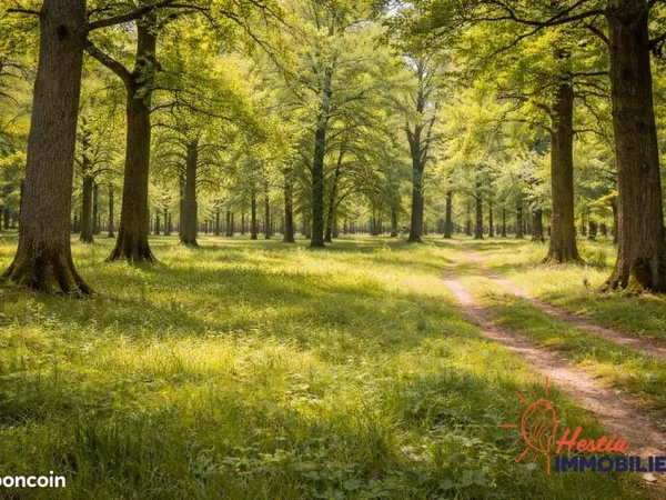 Terrain 8300 m² Montaigu