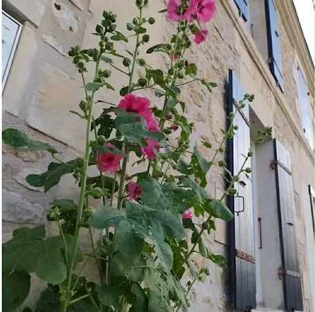 Appartement 3 pièces 130 m²