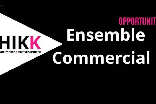 Ensemble commercial Boxs, locaux commerciaux , bureaux garage