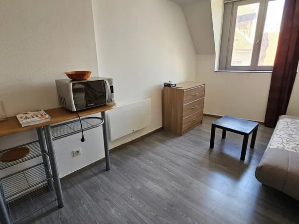 Studio 1 pièce 17 m²
