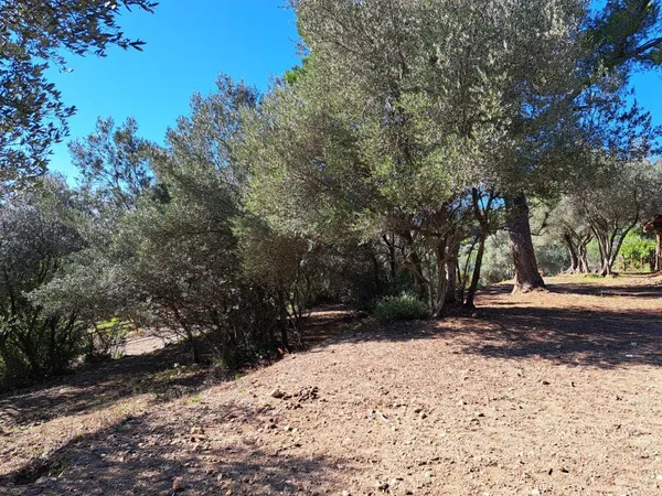 Vue panoramique sur la plaine