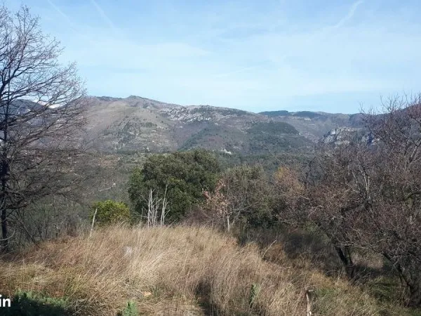 Terrain 2500m² avec cabanon en pleine nature à Berre-les-Alpes