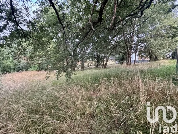 Terrain 1000 m²