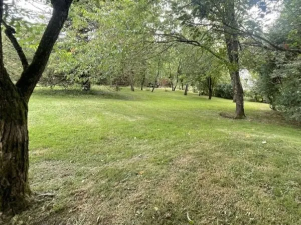Terrain 1204 m²