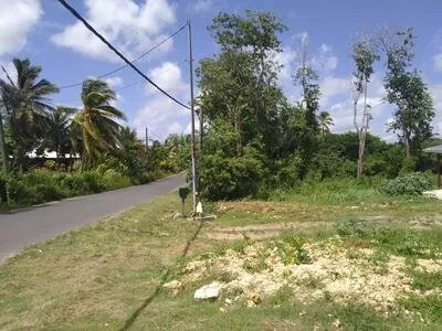 le moule terrain de 2267m2 306045€