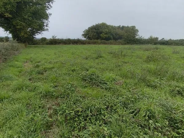 Terrain 4300 m²