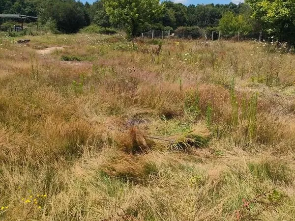 🌿 Terrain 1135 m² au calme - Bussac-Forêt