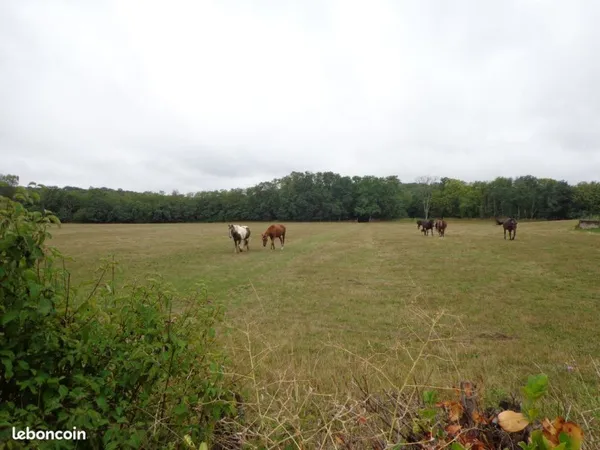 Terrain agricole