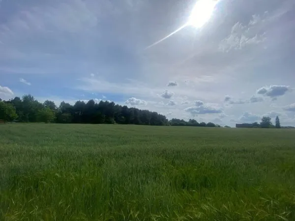 Terrain constructible 1619 m²