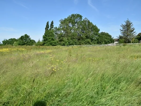 TERRAIN A BATIR VIABILISÉ EN CAMPAGNE