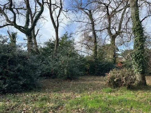 Terrain constructible 1535 m²