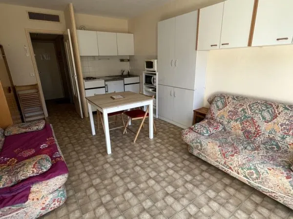 *VENDU* STUDIO AVEC LOGGIA RÉSIDENCE FOND D'ALAGNON
