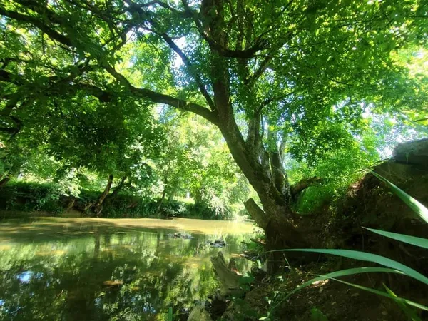 Rare ! Terrain d'exception en bord de rivière 3700 m²