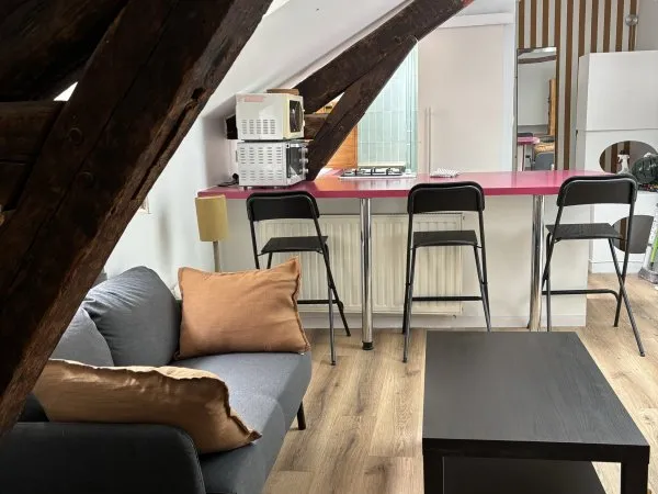 Loue appartement 27m² meublé Cathédrale - jardin des plantes