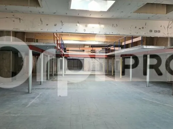 Local commercial 1169 m²