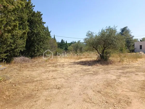 Terrain en individuel 981 m²