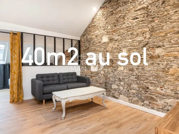 Appartement 44000