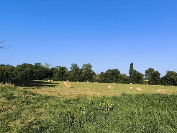 Terrain à bâtir - Potentiel lotissement 9 grandes parcelles