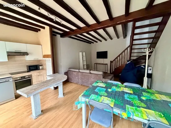 Appartement T4 entièrement rénové - Rue Sabatier Castres