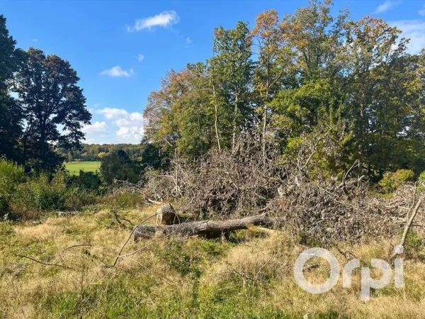Terrain constructible 2003 m²