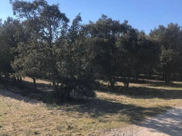 Terrain 39914 m²