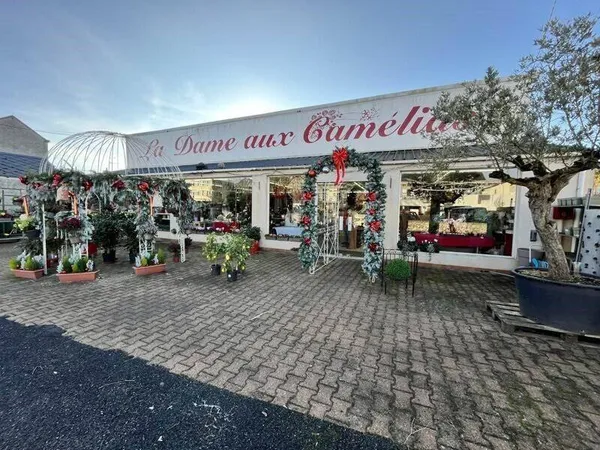 Local 315 m²