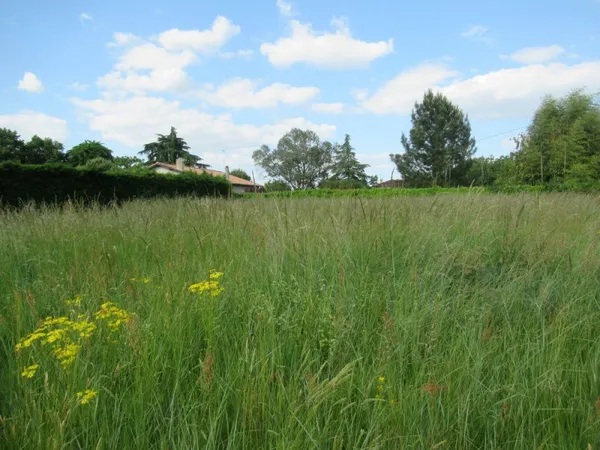 TERRAIN A BATIR A 10 MINUTES DU CENTRE DE MONTAUBAN