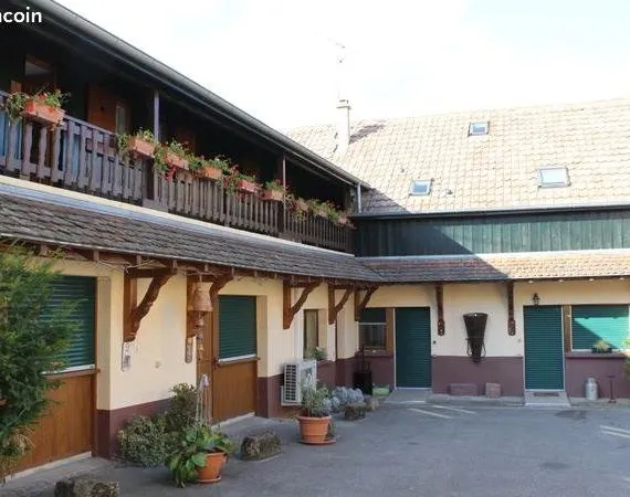 Studio de 30m2 à louer sur Beblenheim