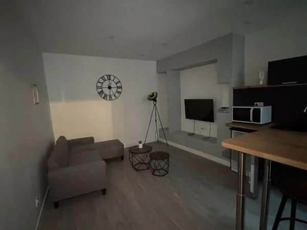 Superbe T1 meublé de 30 m2 au coeur de Limoges en location