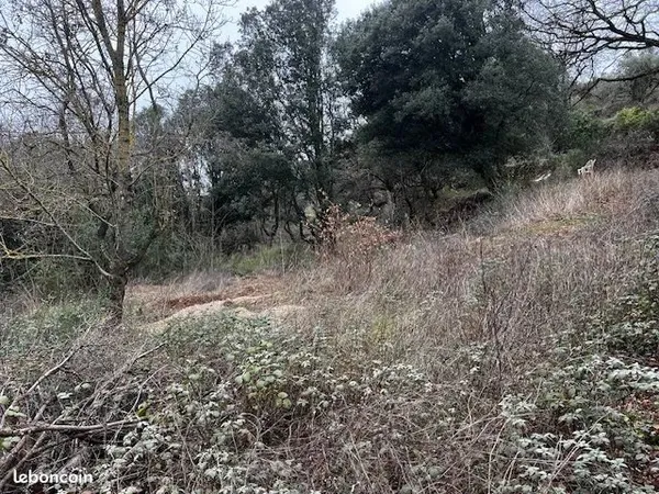 Terrain 6290 m² Le Bosc