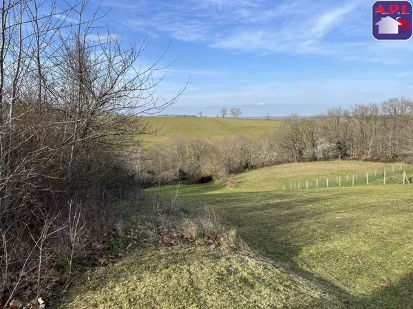 Terrain à bâtir Vente Nailloux  2364m² 85000€
