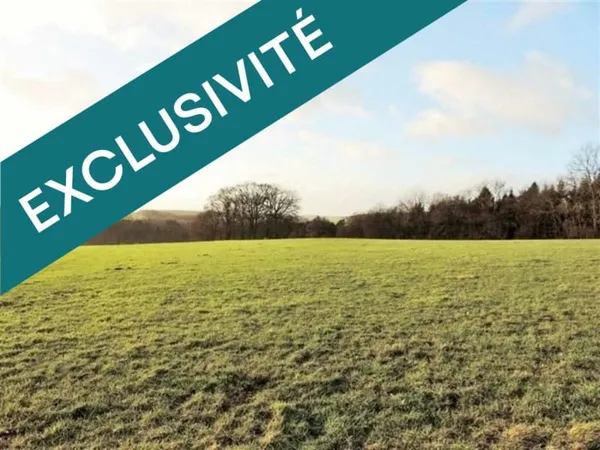 Terrain constructible