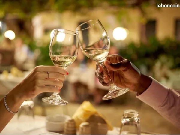 Restaurant 320 m² BOUC BEL AIR