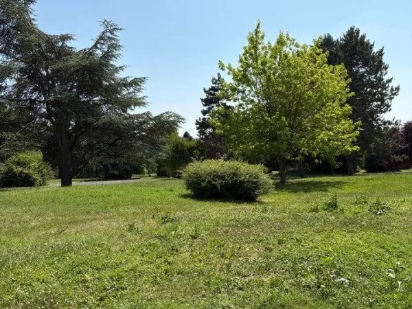 Terrain 173 m²