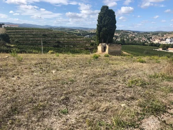 Terrain Limoux 1000m2