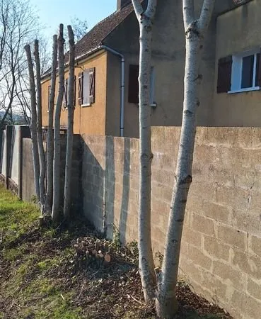 Grande maison