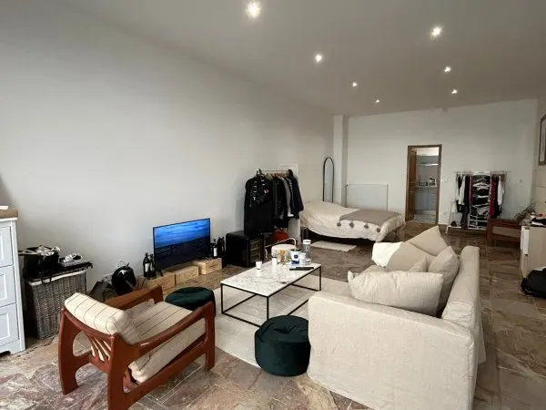 Loue appartement type loft