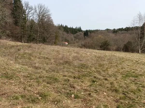 Terrain constructible